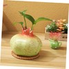 Gatuida Fruit Shaped Ceramic Vase for Dining Table Hydroponic Plant