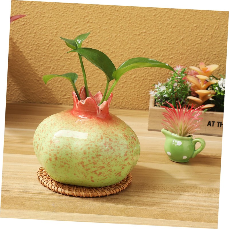 Gatuida Fruit Shaped Ceramic Vase for Dining Table Hydroponic Plant