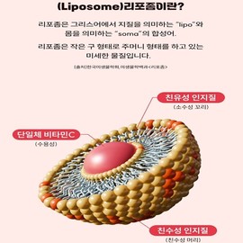Orodam Liposomal Vitamin C Liposomal Vitamin C Liposomal Nutrient High-Content Antioxidant Pills 90 Tablets, 3 Month Supply [Basic Plan] Liposomal Vitamin C 90 Tablets / 리포존 비타민씨 리포즘 비타민C 리포좀 영양제 고함량 항산화 알약 90정 3개월분 [기본 기획] 리포좀 비타민C 90정