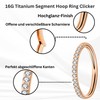 Medinah 16G Titanium Nose Piercing Septum Piercing - Universal Hinge