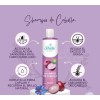 Shampoo Cebolla Sheló Nabel 530 Antioxidante Fuerza