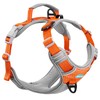 ThinkPet Dog No-Pull Sports Harness with Handle, for Medium and