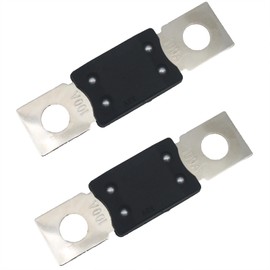 SYCZIOHU 100A High Current Bolt-On Fuses for Car, RV, Bus and Audio System (2 PCS)