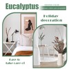 (20Pcs) Dried Eucalyptus Stems - Red, Fall Decorations for Home,