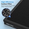 CFKREYA HAP603 True HEPA Replacement Filter Compatible with ECOSELF HAP603