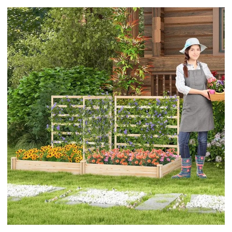 Raised Garden Bed with 2 Planter Boxes and 3 Trellis