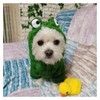 Pet Clothes, Dogs Hooded Sweatshirt Fruit Warm Coat Sweater Cold