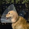 Beeztees Plastic Dog Cap 22-25 7, 5 cm