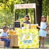 Bokon Lemonade Stand Supplies Include 100 Pcs 9 oz Lemonade
