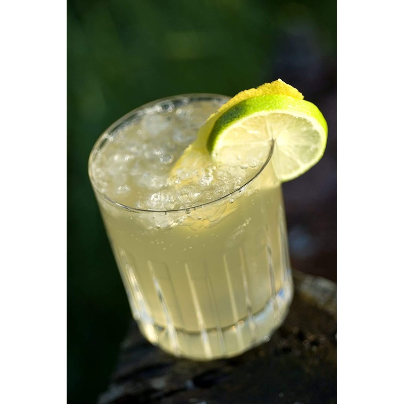 Portland Syrups Spicy Ginger Syrup (12 Fl Oz (Pack of