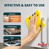 PROSOL WORKS RV Interior Cleaner 16 oz - Camper All