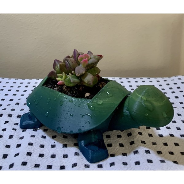 Indoor Garden Mini Turtle Planter Succulent Pot - Sea Turtle
