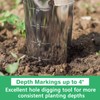 Berry&Bird Garden Bulb Planter with 4 Inches Depth Mark, Stainless