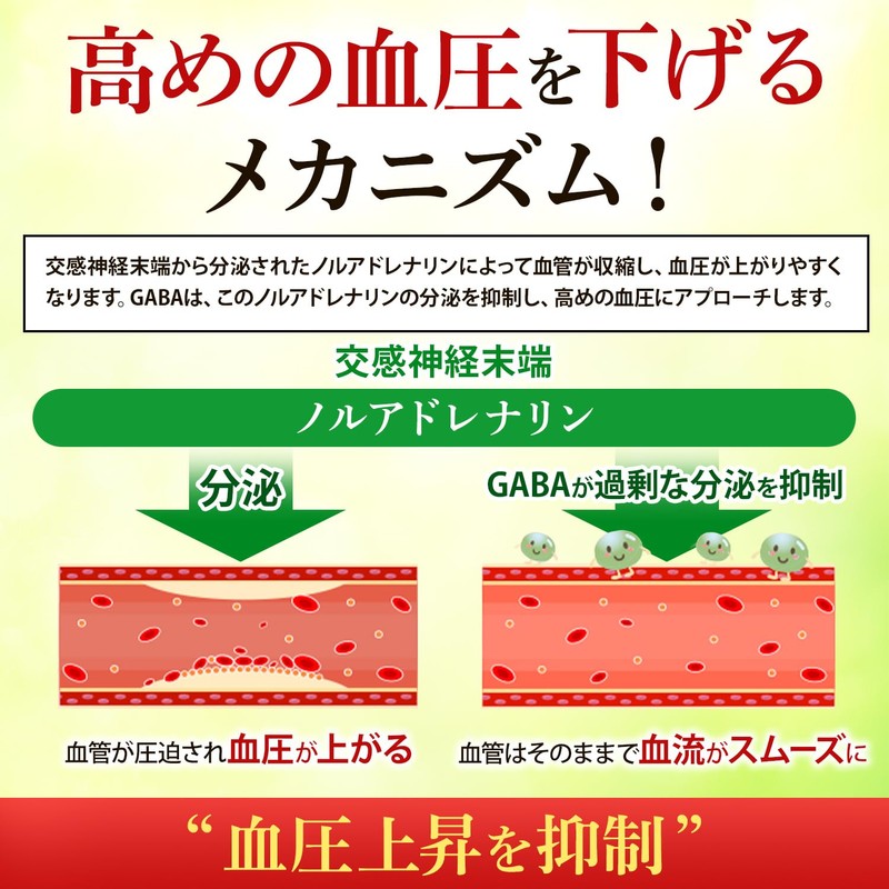 血肝ダブルケア 1袋30日分 血圧 肝臓 サプリ スルフォラファン 血圧を下げる 血中ALT値を下げる GABA 肝機能