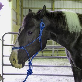 Majestic Ally 1/4" Rope 4 Knot Stiff Polyester Training Halter with 10’ Matching Lead Rope for Horses – Full (Royal Blue, Full)