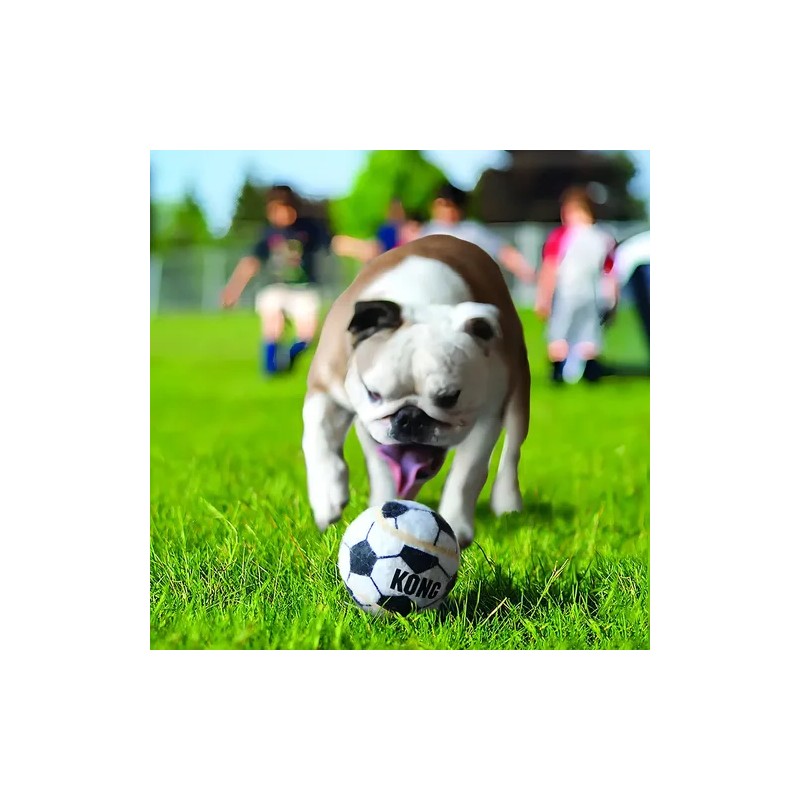 Pelotas Kong Sports Balls De Goma Para Perro, Pack De