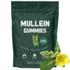 60pcs Mullein Gummies,Mullein Leaf Extract for Lungs,2000mg Mullein Extract for