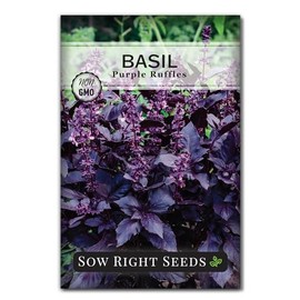 Sow Right Seeds - Purple Ruffles Basil Seeds for Planting - Non-GMO Heirloom Packet with Instructions - Indoors or Outdoor - Great for Hydroponics or Growing Kitchen Herb Garden - Purple Leaves (1)