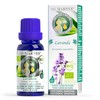 Organic Lavender Essential Oil, 100% Pure and Natural Origin, Bottle