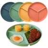 WYTNB 9.6inch Divided Dinner Plates Set, 4Pcs Three Grid Portion