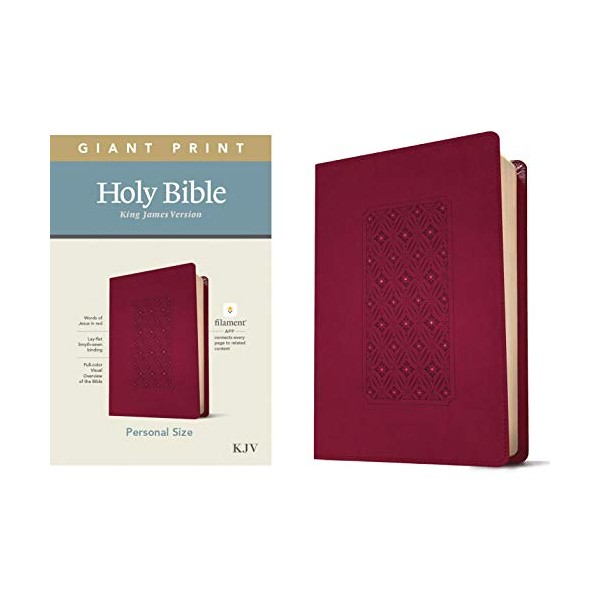 KJV Personal Size Giant Print Holy Bible (Red Letter, LeatherLike,