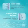 Curél Restorative Aging Care Rejuvenating Day Cream for Dry, Sensitive