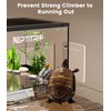 Turtle Basking Platform for 10-13 Inchs Wide Aquariums - Last