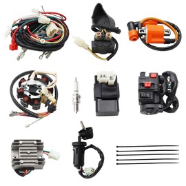 PRO BAT ATV Quad Complete Electrics AC Wire Harness Kit with CG-8 Stator 6-Pin AC CDI Multi-Functional ATV Switch Ignition Coil Solenoid Relay Spark Plug for 150cc 200cc 250cc 300cc Zongshen Lifan
