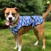LUCOLOVE LUCOLOVE Dog Cooling Vest - 2-Layer Lightweight Performance -