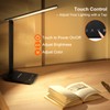 shinelife LED Desk Lamp for Office Home, Bright Desk Light