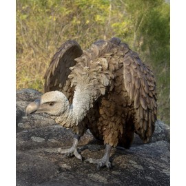 Hi-Line Gift Ltd. Medium Bald Eagle, Brown