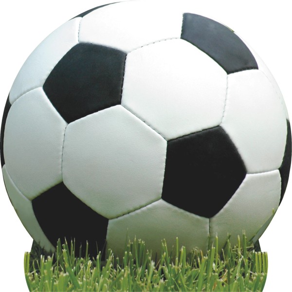 Wet Paint SP13439 Soccer Ball On Grass Cardboard Cutout Standee