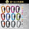 SasuGadget Lock Carabiner, Small Lightweight Keychain for Outdoor Camping Fishing