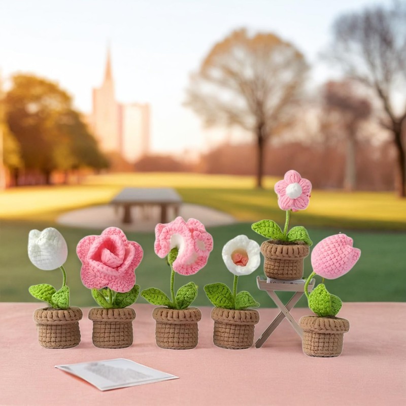 DIY Beginner's Crochet Kit: 6-Piece Set with Yarn, Easy Instructions