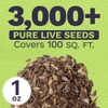 Zinnia Seeds - California Giants Mix - Large 1 Ounce