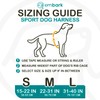 Embark Sports Dog Harness, No Pull Dog Harness with 2