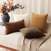 Foindtower Set of 2 Soft Textured Chenille Throw Decorative Pillow