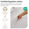 Threadmill Threadmill Egyptian Cotton Queen Sheet Set | 100% Certified
