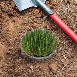 Aulock 6 Pack 1 Gallon Root Stainless Steel Guard Baskets for Plants - Heavy-Duty Gopher Bulb Wire Cages, Reusable Root Wire Baskets, Burrowing Animals Cages for Trees Flowers Bulbs Root Protect