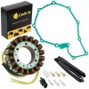 Celox Stator & Gasket for Honda VT750DC Shadow 750 Spirit