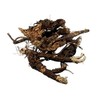 OSHA Root Whole Wildcrafted 1 Ounce