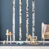 Large Birch Tree Wall Decal Nature Tree Wall Stickers Peel
