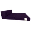 Danfuton Twin Lounger Folding Foam Mattress, Foldable Sofa Bed Sit