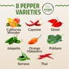 Rooted Acre 8 Varieties Hot Peppers – 240 Heirloom Seeds,