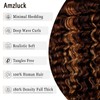Amzluck Highlight Ombre Lace Front Wig Human Hair 13x4 Deep