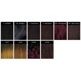 LOOSE DEEP CHINA BANG (530) - Freetress Equal Synthetic Drawstring Bang & Ponytail