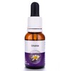 Living Essences Ursinia 100ml