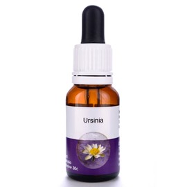 Living Essences Ursinia 100ml