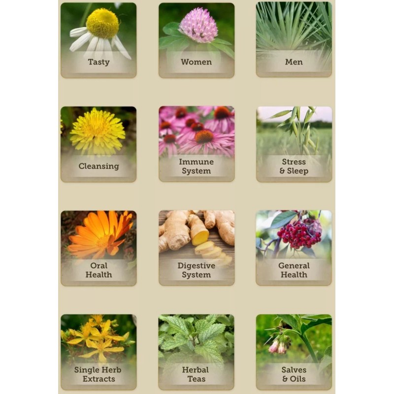 Natural Hope Herbals MULLEIN GARLIC OIL - Gentle Herbal Ear