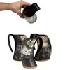 Bhartiya Handicrafts 16 Oz Viking Drinking Horn Mug Game of